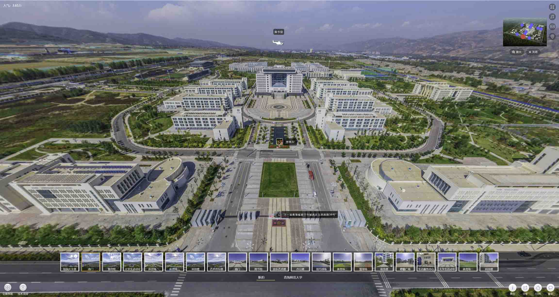 西平油菜花-惊艳半生的花海仙境